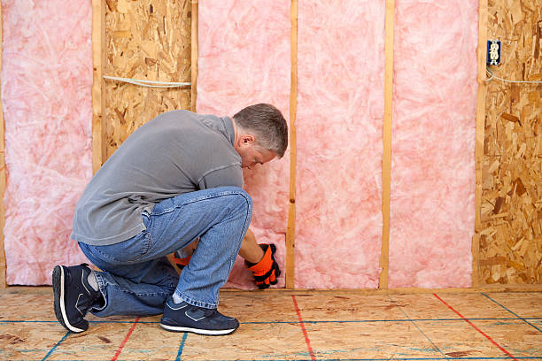 Best Insulation Maintenance and Repair in Tatum, TX