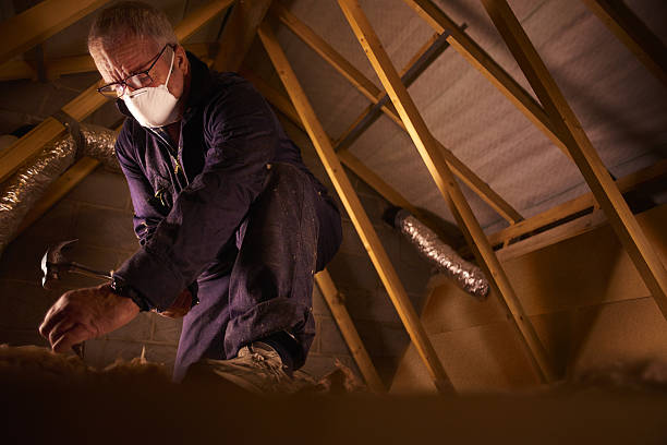 Best Insulation Installation Services in Tatum, TX